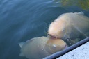 IMG 6073