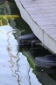 IMG 6249