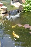 IMG 8451