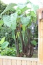 IMG 3417