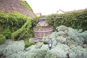IMG 9333
