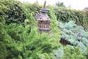 IMG 9335