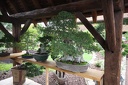 IMG 9341