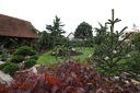 IMG 9345