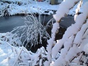 a2001 1222AO
