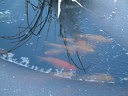a2001 1222AY