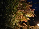 a2002 0601BG