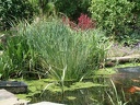 Photo044