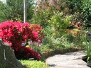 Photo045