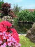 Photo055