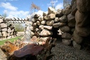 IMG 9694