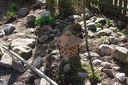 IMG 3309