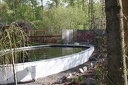 IMG 3310