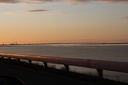 IMG 3641