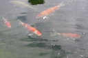 IMG 3659