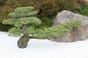 IMG 8378