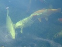 A2001 0829AG