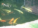 A2001 0829AV