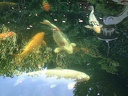 A2001 0829CD