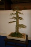 IMG 0624