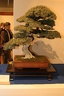 IMG 7703