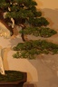 IMG 7714