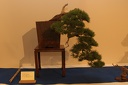 IMG 7716