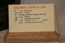 IMG 8269