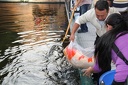 IMG 7884
