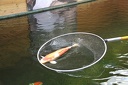 IMG 7899