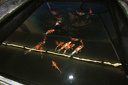 IMG 7458