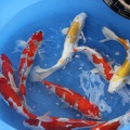 IMG_8491.JPG