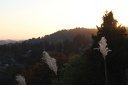 IMG 8821