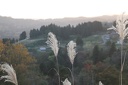 IMG 8822
