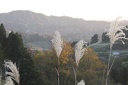 IMG 8823