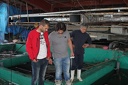 IMG 8853