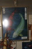 IMG 8861