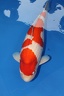 IMG 9553