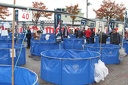 IMG 9556