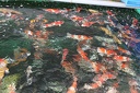 IMG 0842