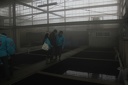 IMG 1579