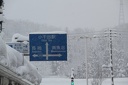 IMG 1756