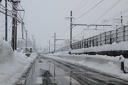 IMG 1757