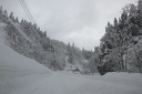 IMG 1773