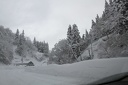 IMG 1775