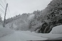 IMG 1778