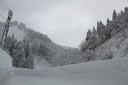 IMG 1780