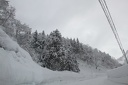 IMG 1781