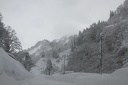 IMG 1785