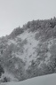 IMG 1792